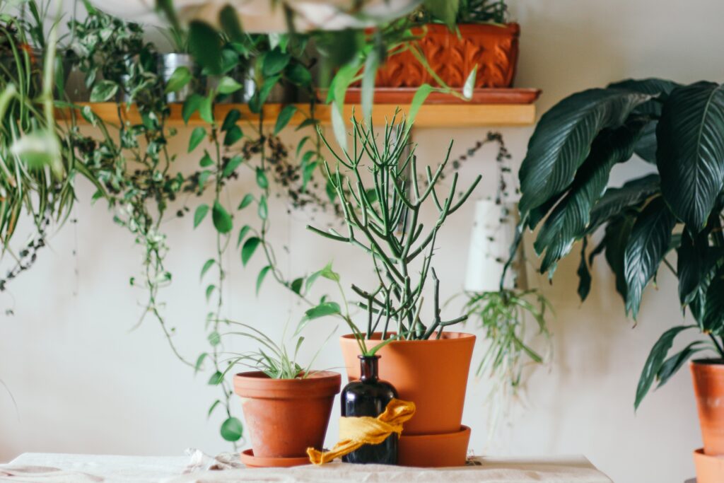 Green Thumb Ready: The Ultimate Planting Calendar for Successful Gardening