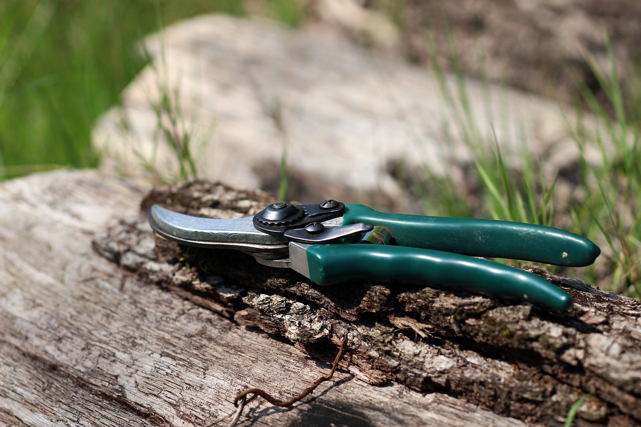 Get Your Garden in Shape: The Ultimate Guide to Pruning at the Right Time