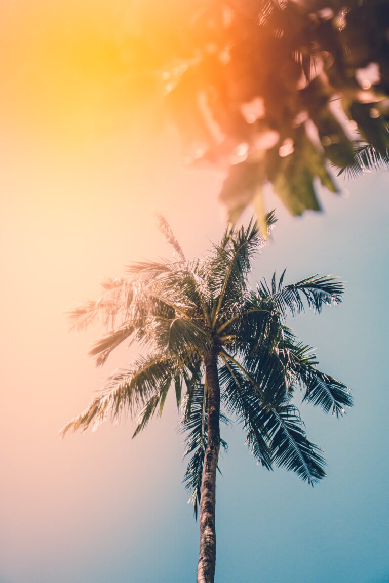 10 Summer Tech Must-Haves: Gear Up for a Fun-Filled Season