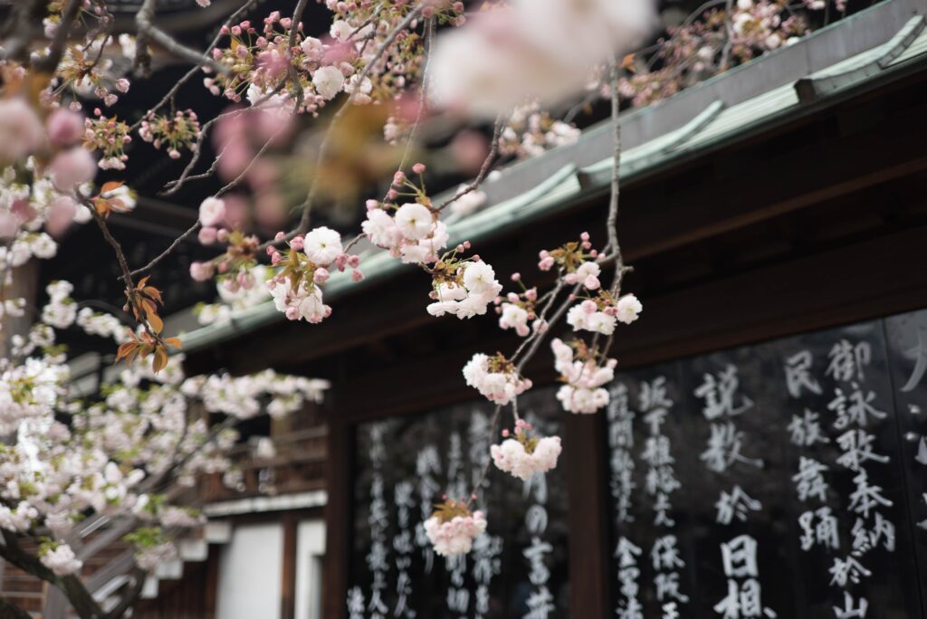 galen crout 0 xMuEbpFAQ unsplash 5 Captivating Reasons to Make Japan Your New Home