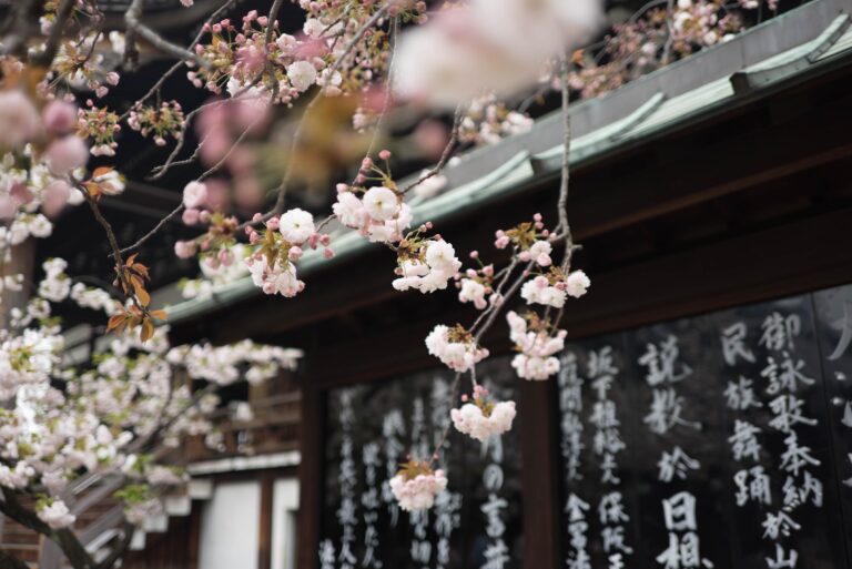 5 Captivating Reasons to Make Japan Your New Home