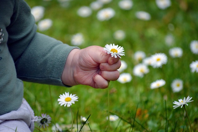 Exploring Inquisitiveness with Your Child
