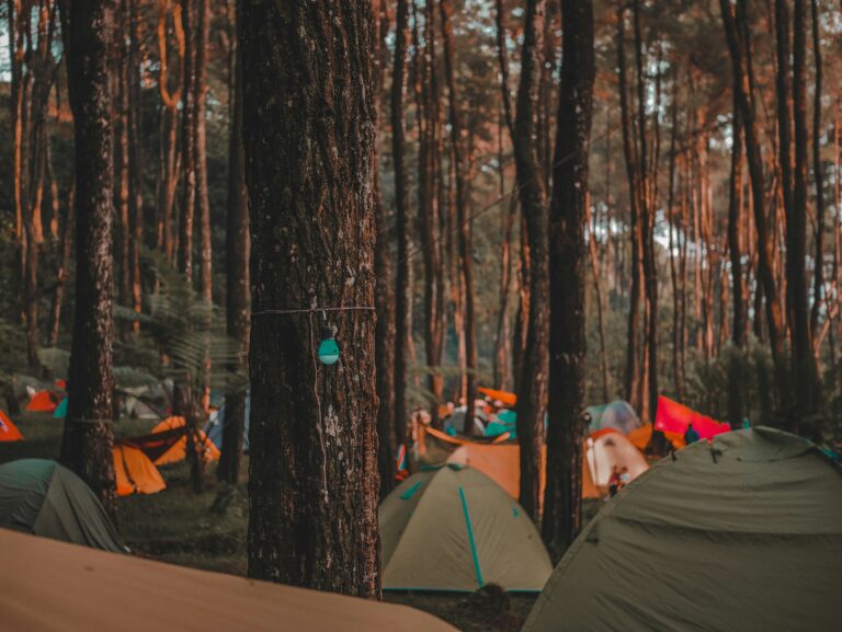 Should I Consider Holiday Camp for My Child?